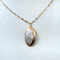 Single White Shell Necklace - Lemonade Mermaid