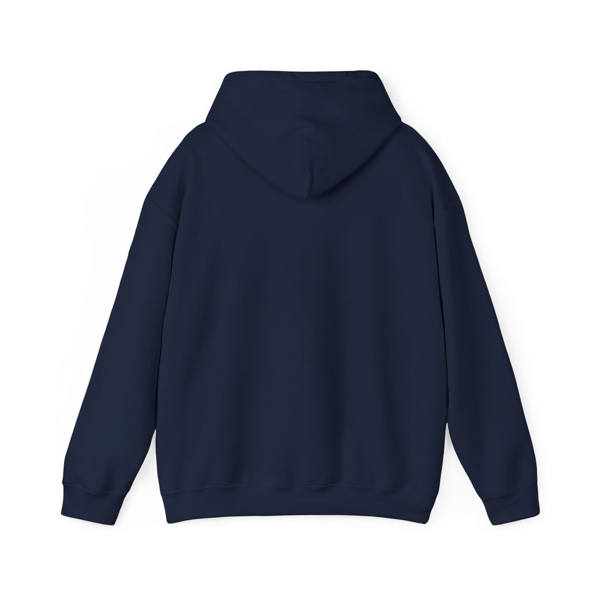 Salt & Starlight hooded sweatshirt in navy, back view