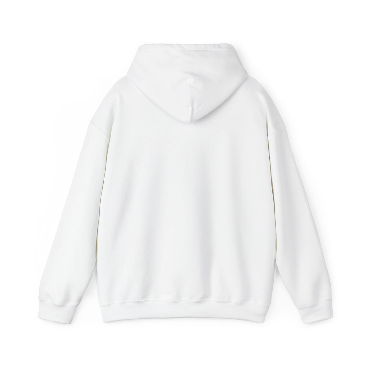Salt & Starlight hooded sweatshirt in white, back view