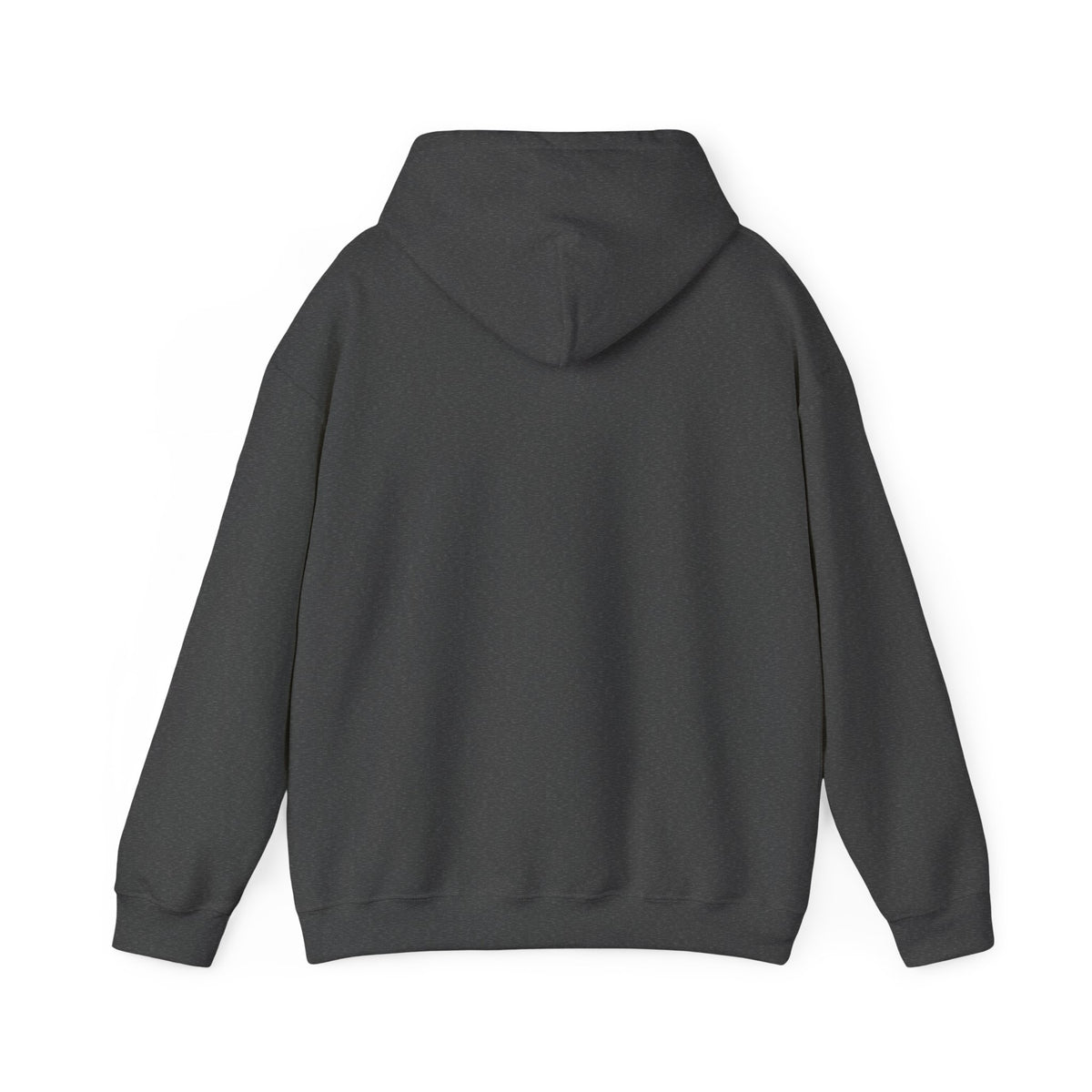 Salt & Starlight hooded sweatshirt in dark heather, back view