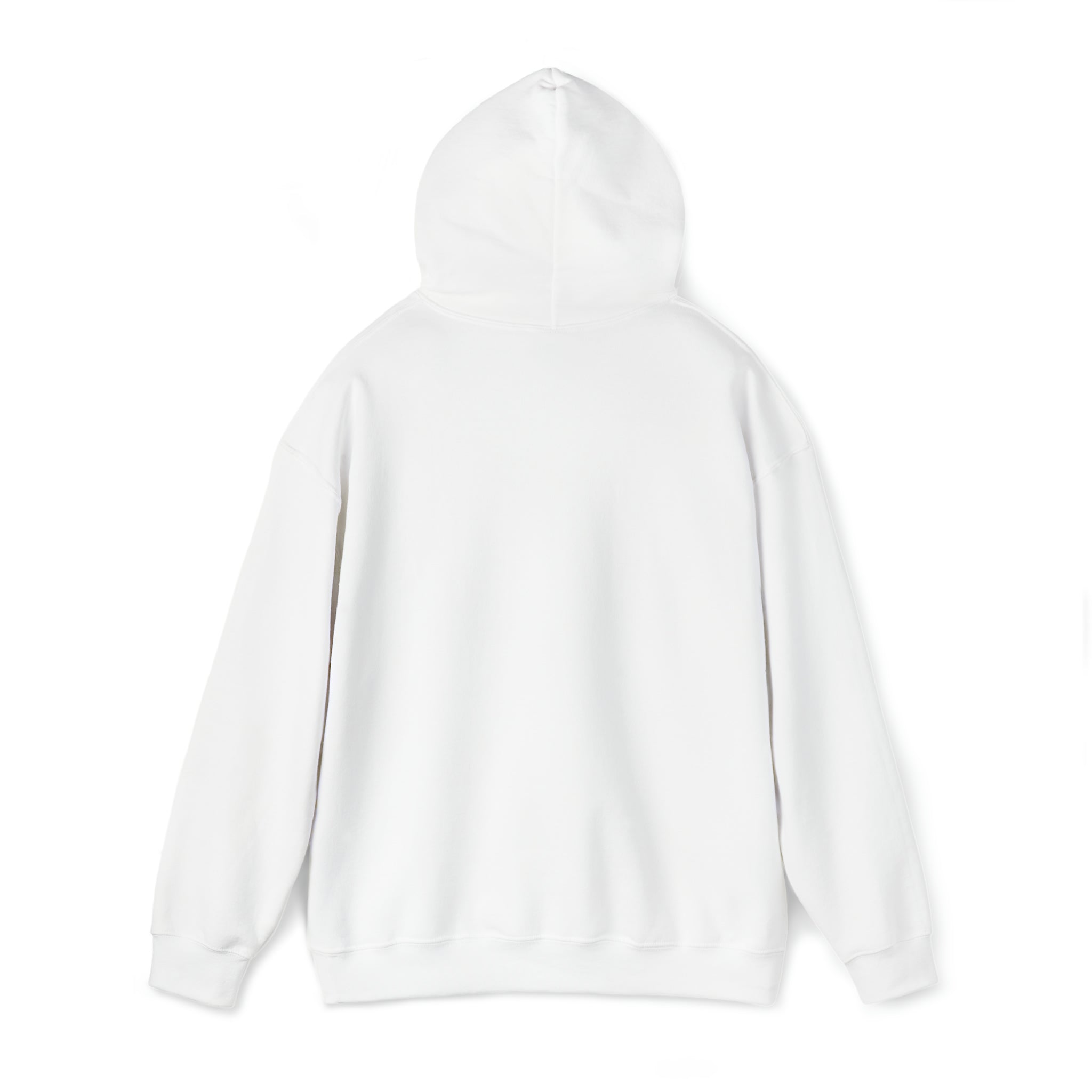 “Holy Ship!” Nautically Naughty Hoodie