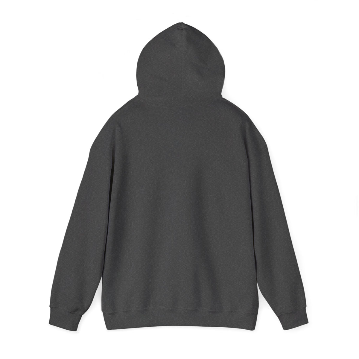 Salt & Starlight hooded sweatshirt in dark heather, back view with hood up