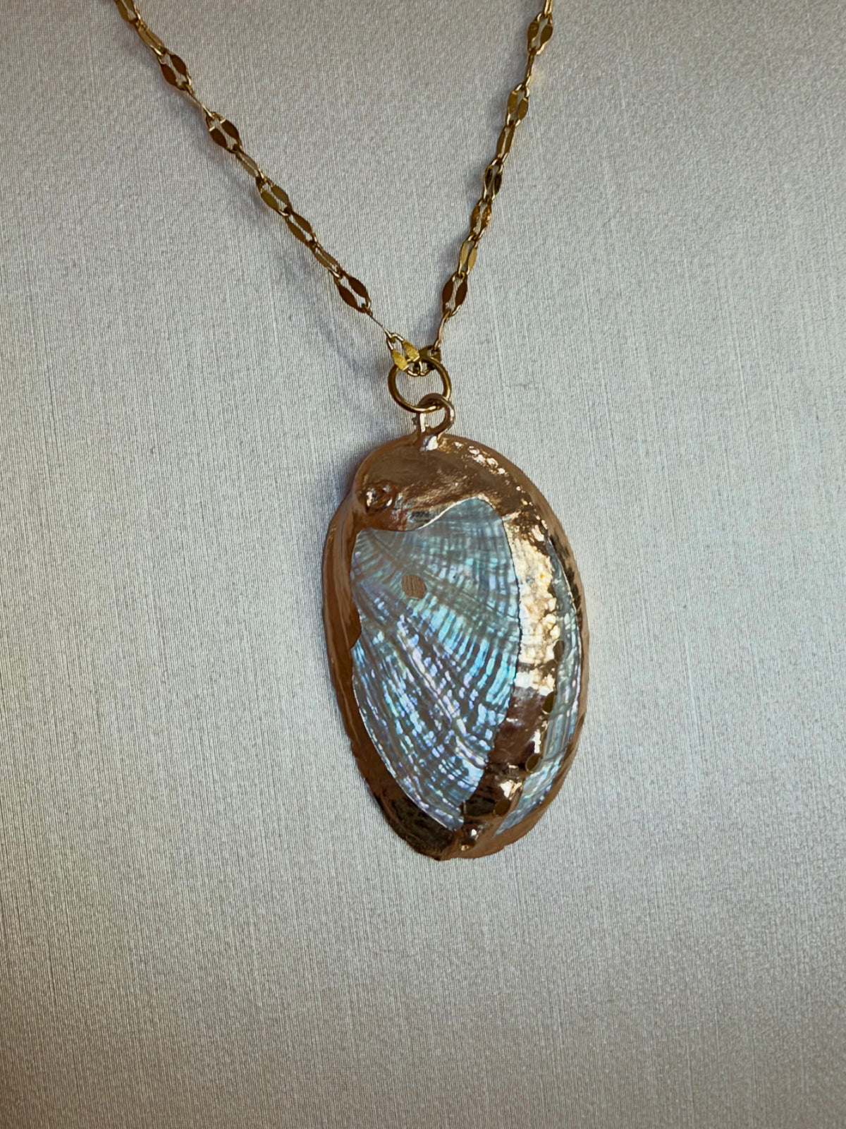 Single White Shell Necklace