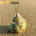 Single Green Shell Necklace