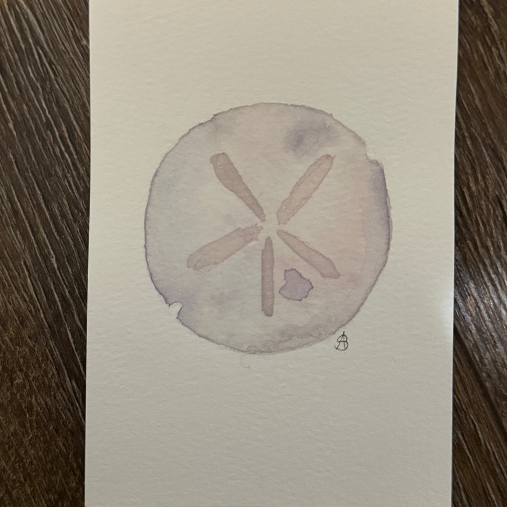 Sand Dollar Note Card by Alayna