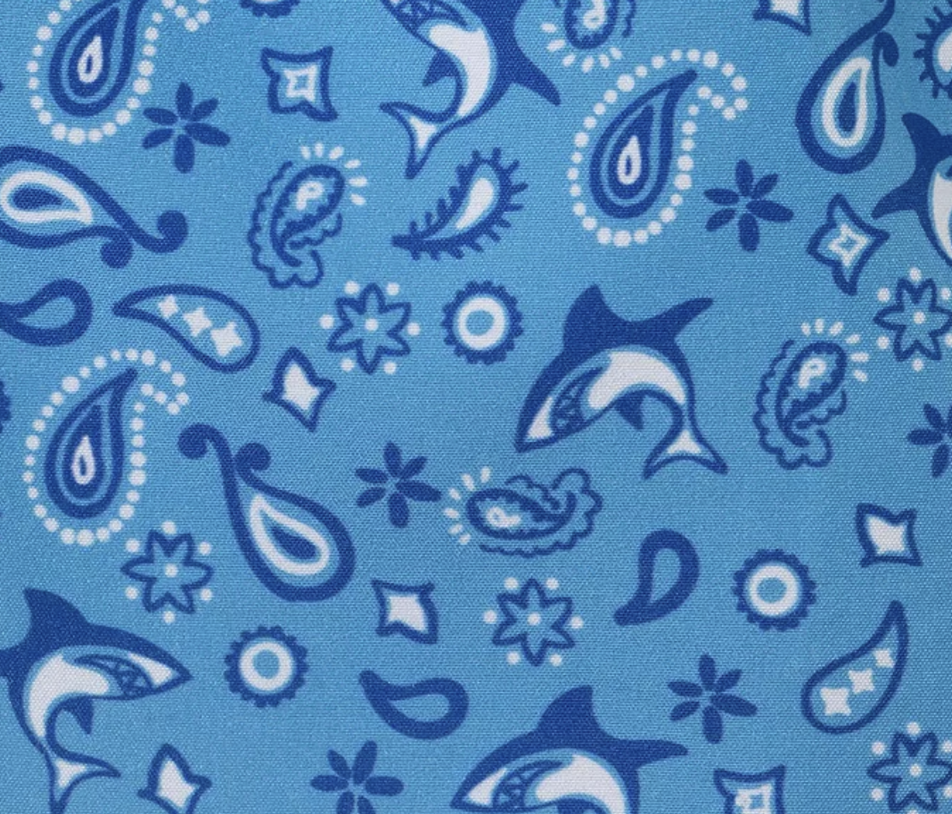 Shark Rash Guard & Shorts
