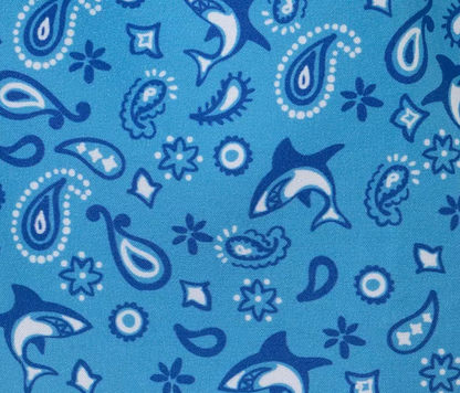 Shark Rash Guard & Shorts