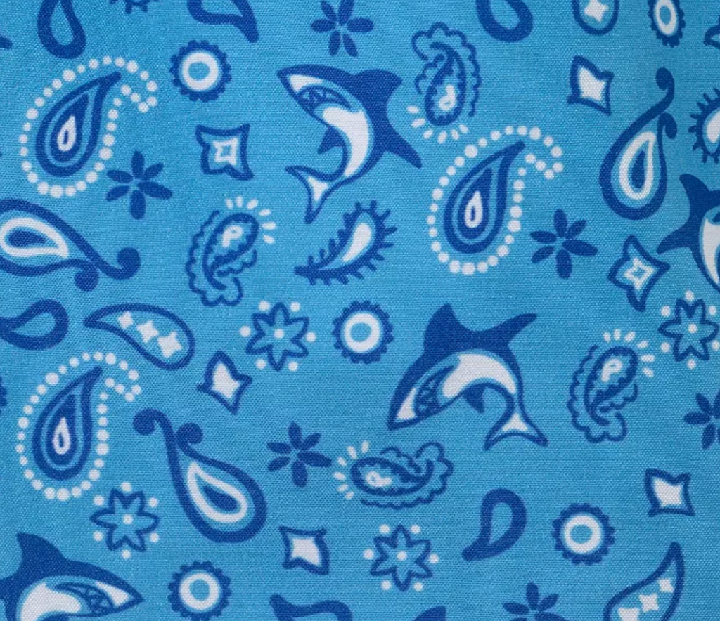 Shark Rash Guard & Shorts