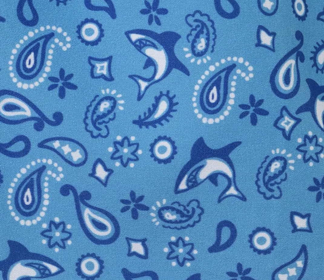 Shark Rash Guard & Shorts