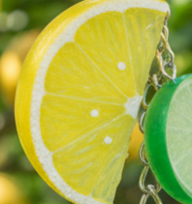 Lemon Lime Keychain