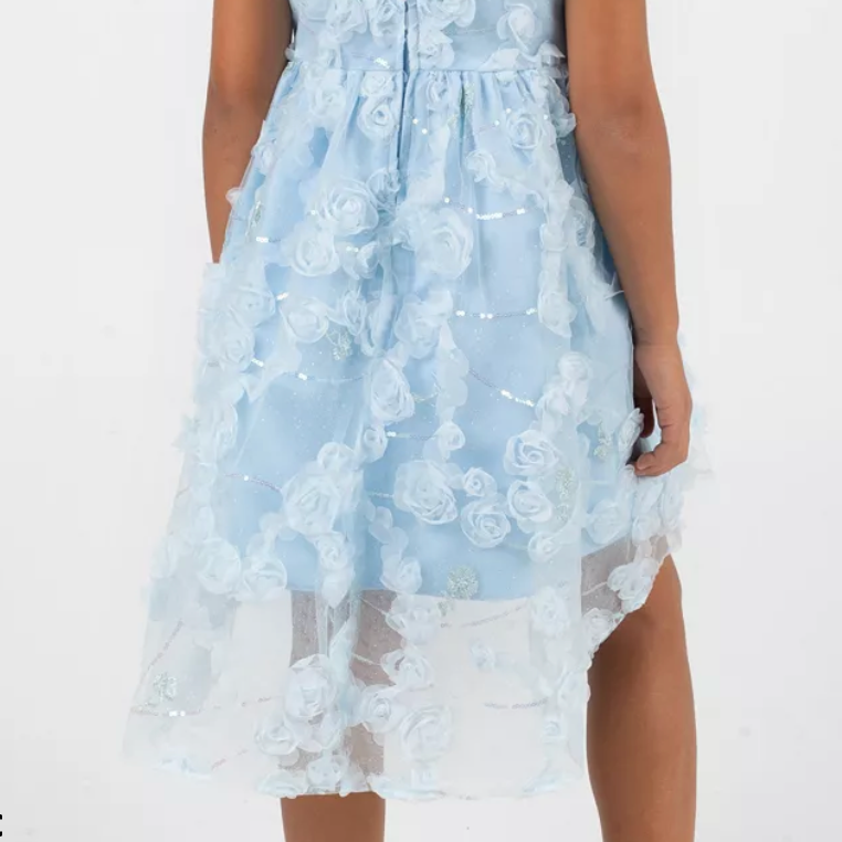 Blue Rose Flutter-Sleeve Dress