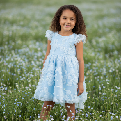 Blue Rose Flutter-Sleeve Dress