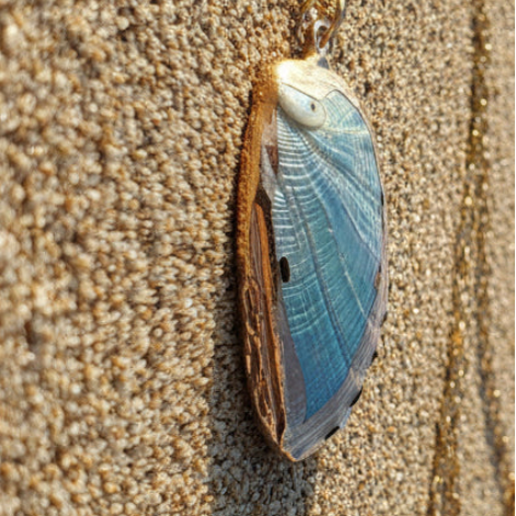 Single White Shell Necklace