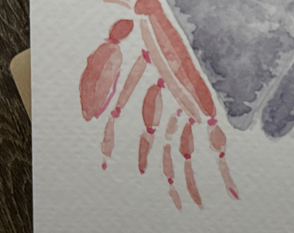 Crabby Note Card by Alayna