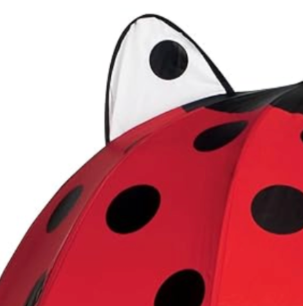 3-D Ladybug Umbrella