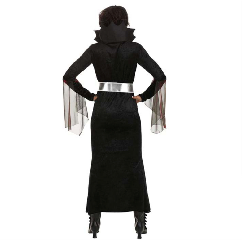 Beautiful Sorceress Costume (Teen/Adult)