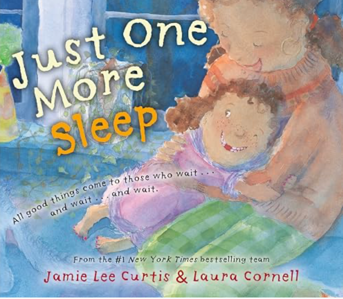 Just One More Sleep Book
