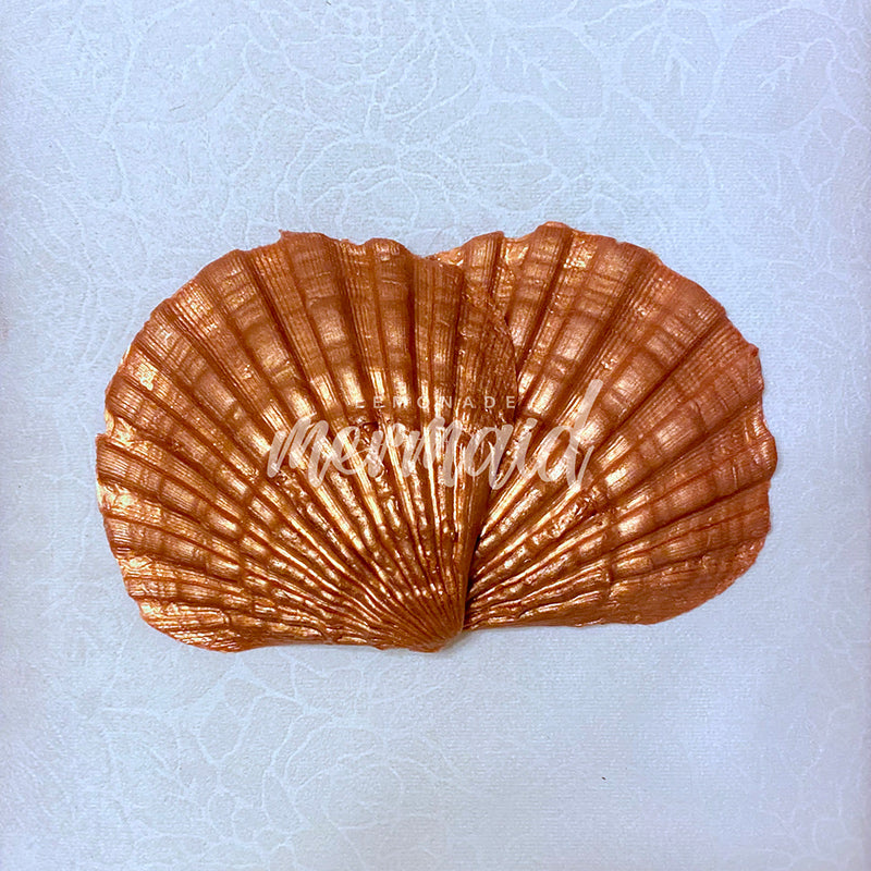 Abalone Silicone Mermaid Bra